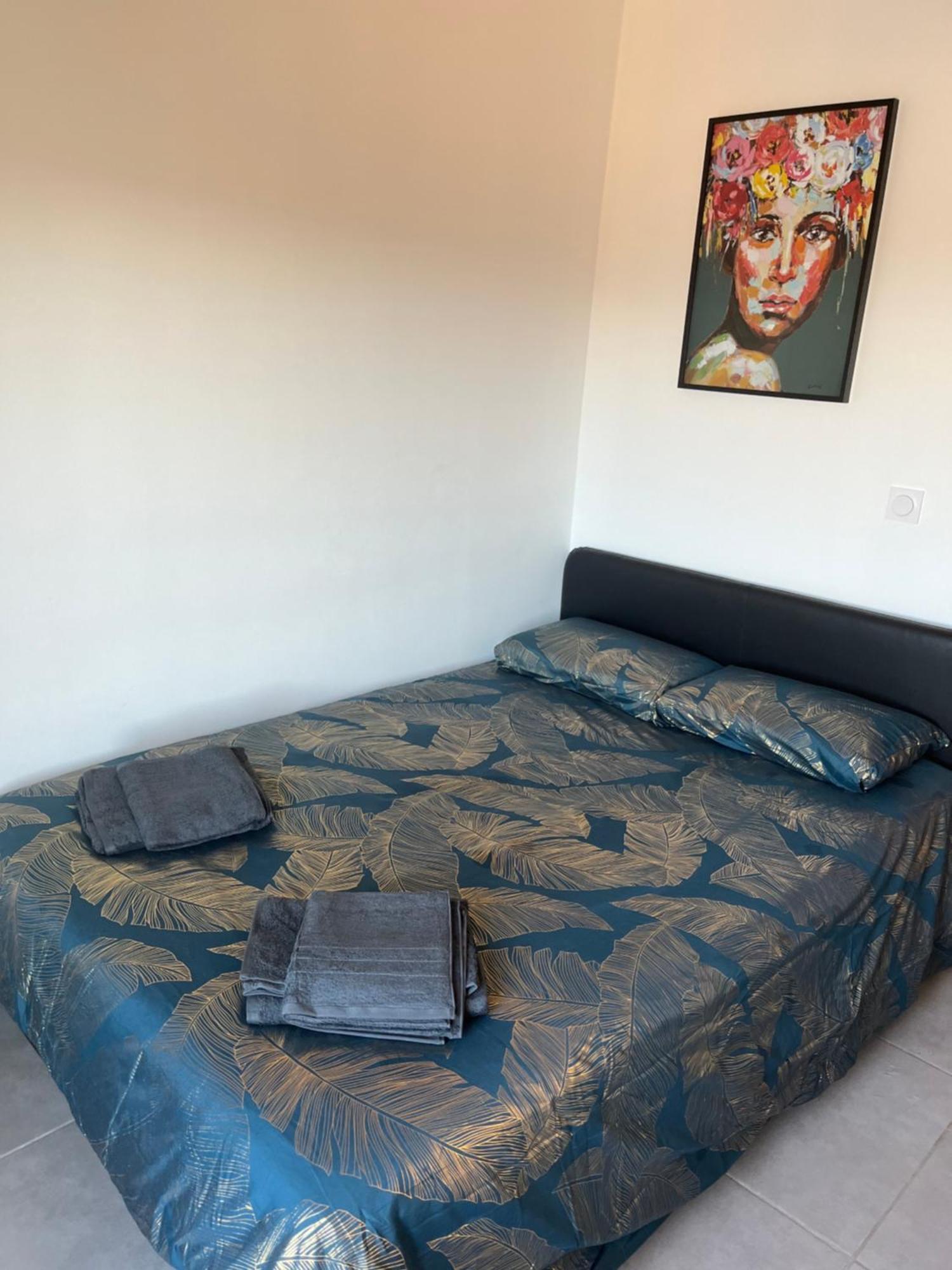 Charmant Appartement Climatise Quartier Las Cobas Perpignan Exterior foto